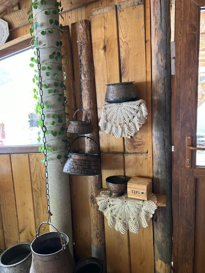 Hostel Shio'S Stonehouse In Tusheti Zewnętrze zdjęcie
